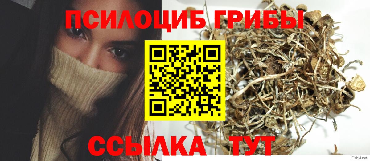 Галлюциногенные грибы Magic Shrooms Зеленодольск
