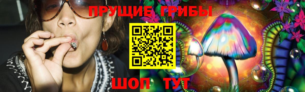 Зеленодольск  Галлюциногенные грибы прущие грибы  Вход с VPN 